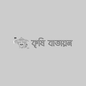 চালতার পাতা মোড়ানো পোকা